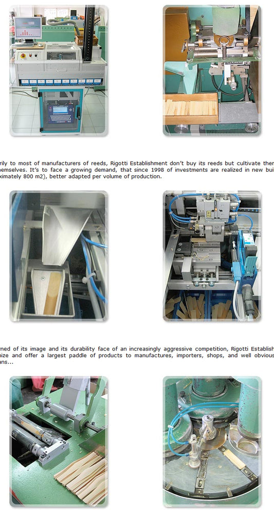 Rigotti Gold Alto Saxophone Reed - Classic Model