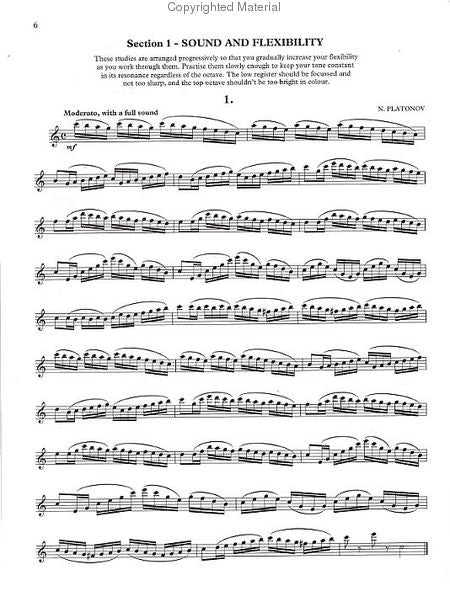 The Piccolo Study Book 14021931