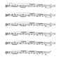 Maurice Benterfa Vibration Zone Warm-ups and Embouchure Building for all Brass [TP51]