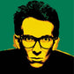 The Very Best of Elvis Costello (Piano/Vocal/Guitar) [306331]