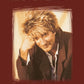 The Very Best of Rod Stewart- Piano/Vocal/Guitar Artist Songbook [306574]