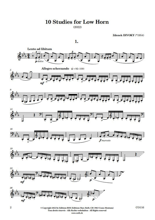 Zdenek Divoky 10 Studies for Low Horn [CO116]