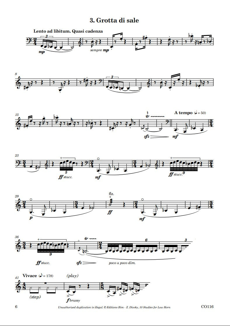 Zdenek Divoky 10 Studies for Low Horn [CO116]
