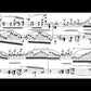 FRANZ LISZT Transcendental Studies [HN717]