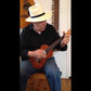 Fred Sokolow The Beatles for Fingerstyle Ukulele [124415]