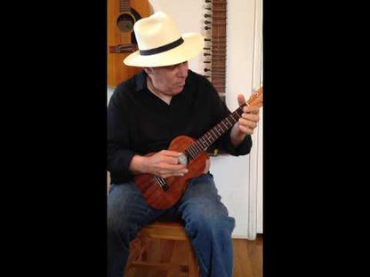 Fred Sokolow The Beatles for Fingerstyle Ukulele [124415]