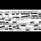 LUDWIG VAN BEETHOVEN Piano Sonata no. 32 c minor op. 111 [HN364]