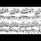JOHANNES BRAHMS Paganini Variations op. 35 [HN394]