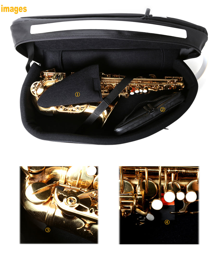 Curtis Dulcinea Series Saxophone Insulation Case S1A