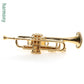 Harmony Trumpet Gold Pin FPP545G